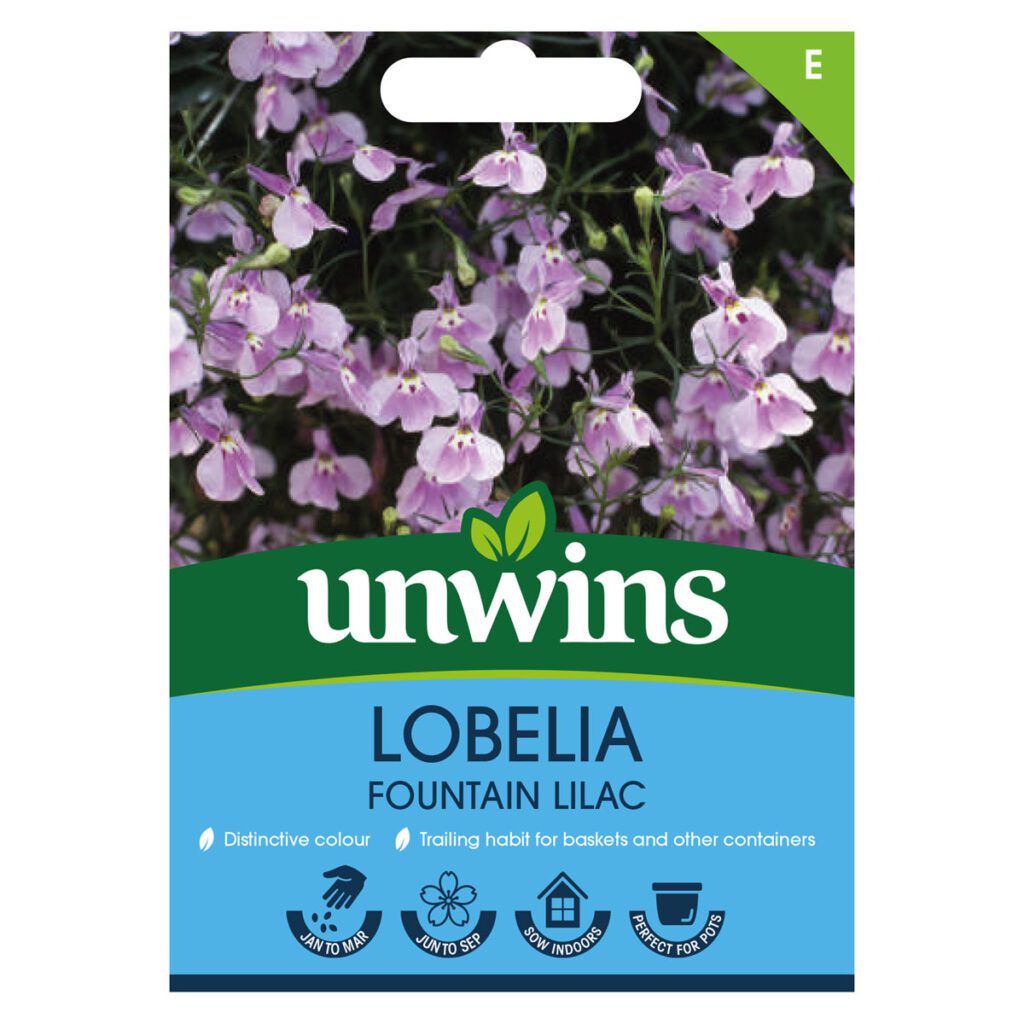 Unwins Lobelia Fountain Rose Seeds 5051618035613 2